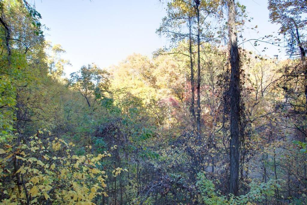 Brave Eagle Cabin Sevierville Pokoj fotografie
